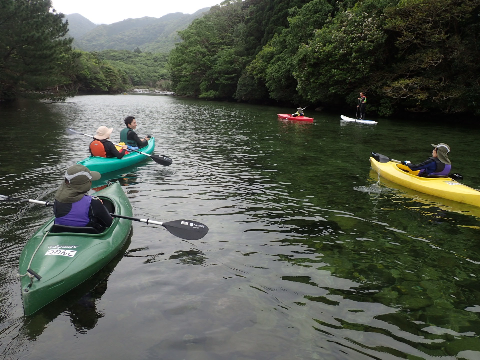 屋久島 カヤック / KAYAK